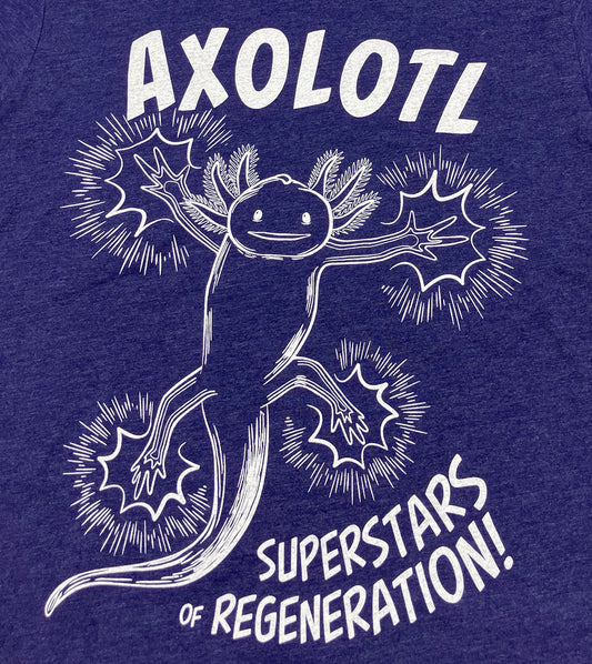 Axolotl Adult T-shirt
