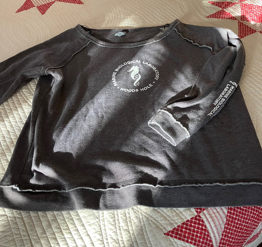 Seahorse Logo Scoopy Crew