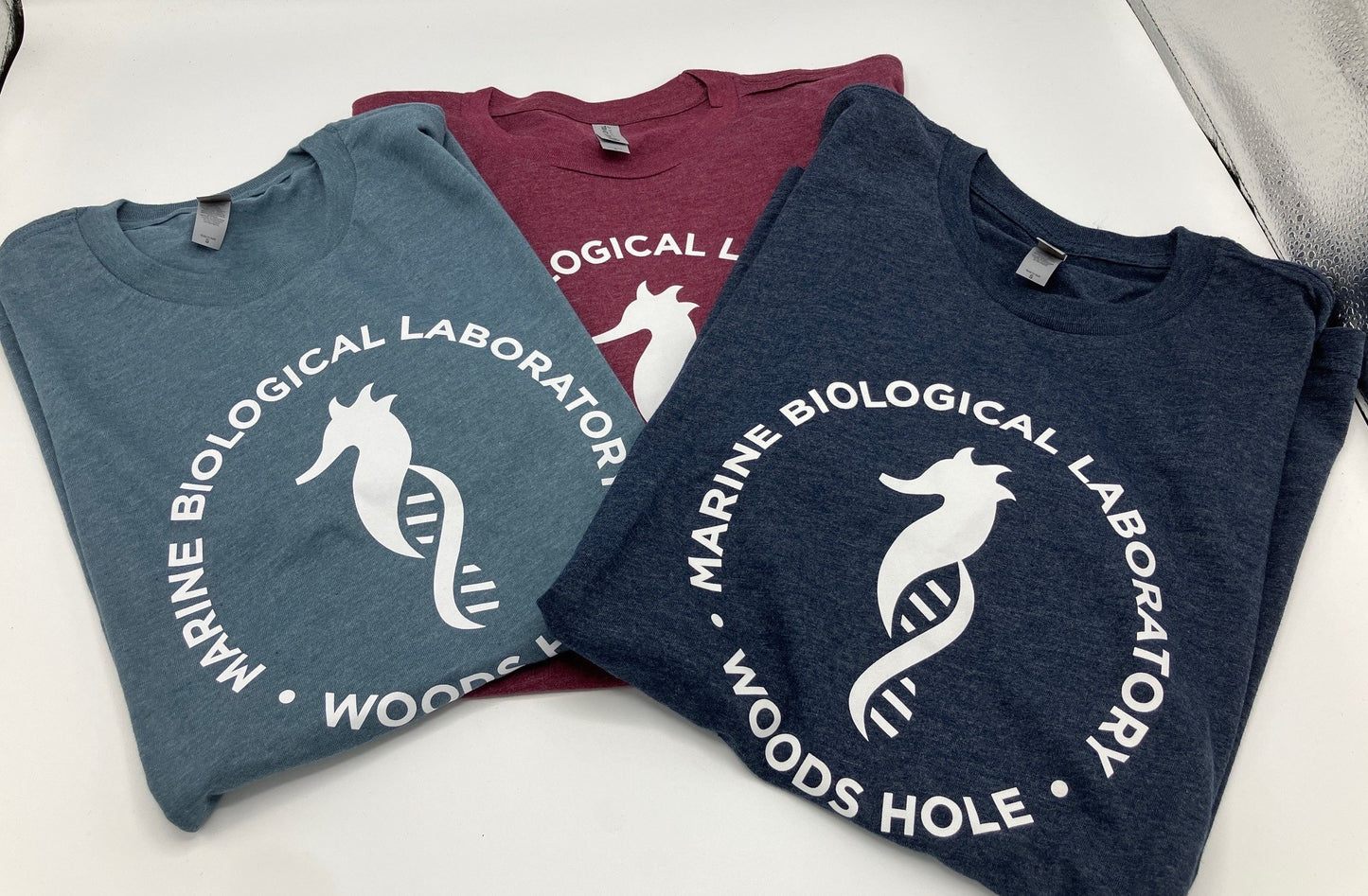 Seahorse Logo Short Sleeve Tee