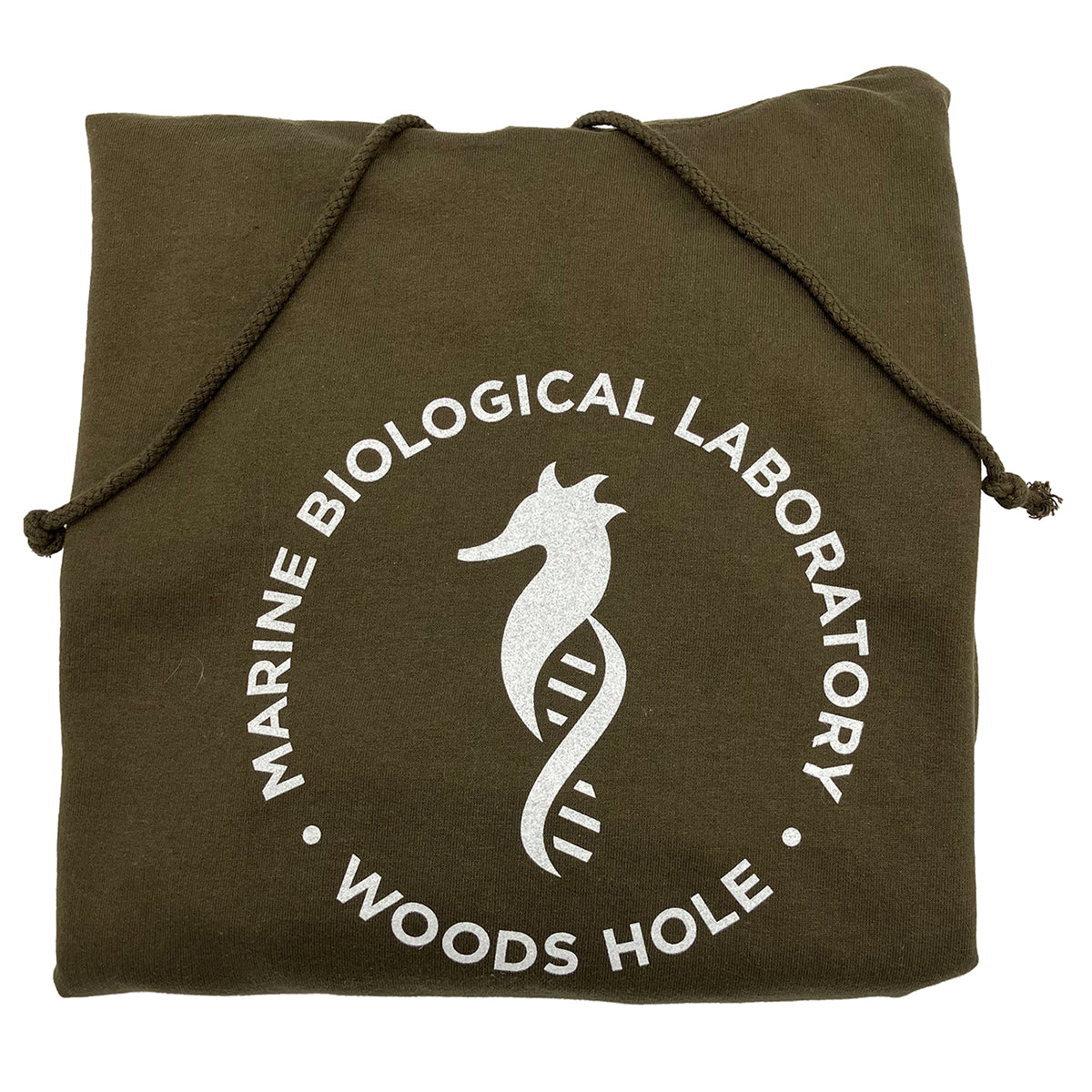 Seahorse Logo Hoodie