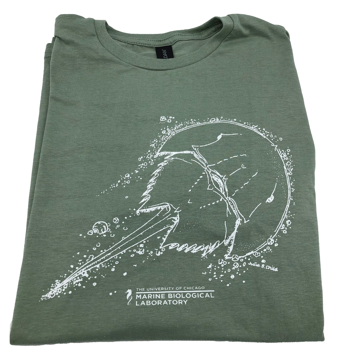 Horseshoe Crab tee- Women's fit
