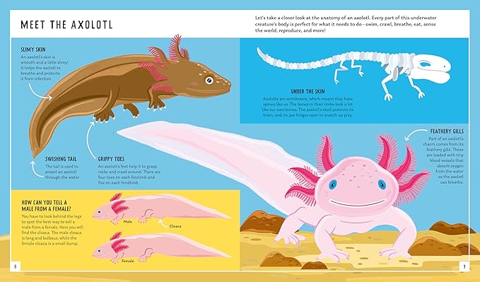 Axolotl: A Young Zoologist's First Field Guide