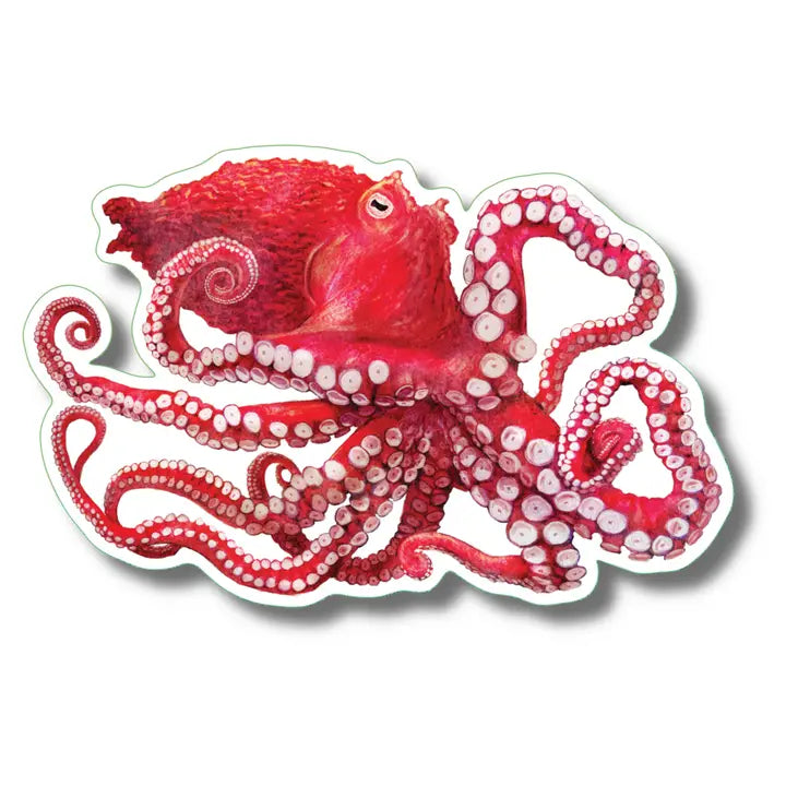Marine Life Stickers