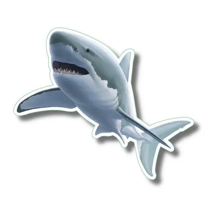 Marine Life Stickers