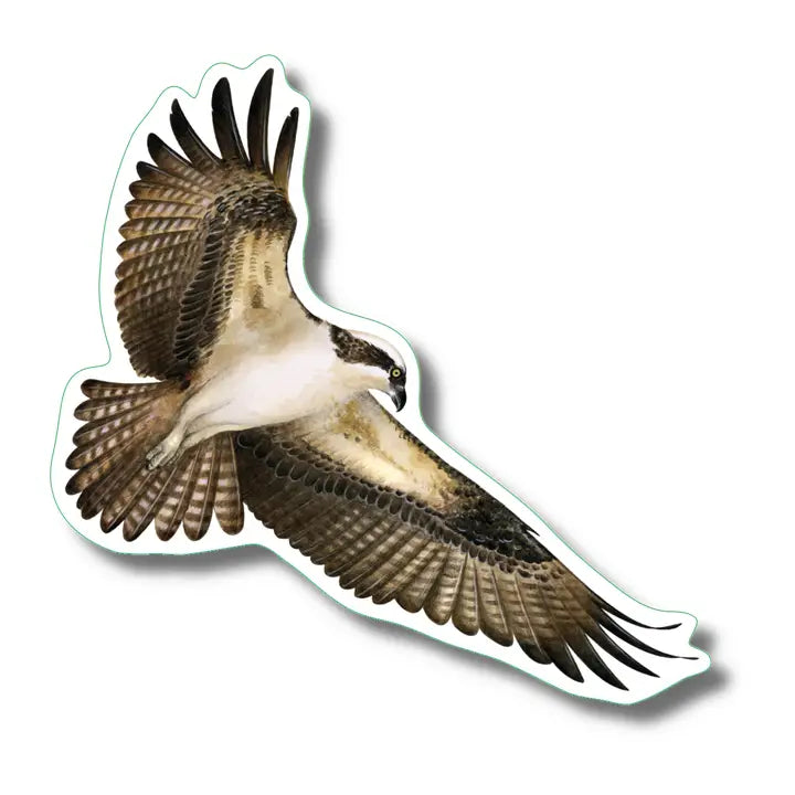 Marine Life Stickers