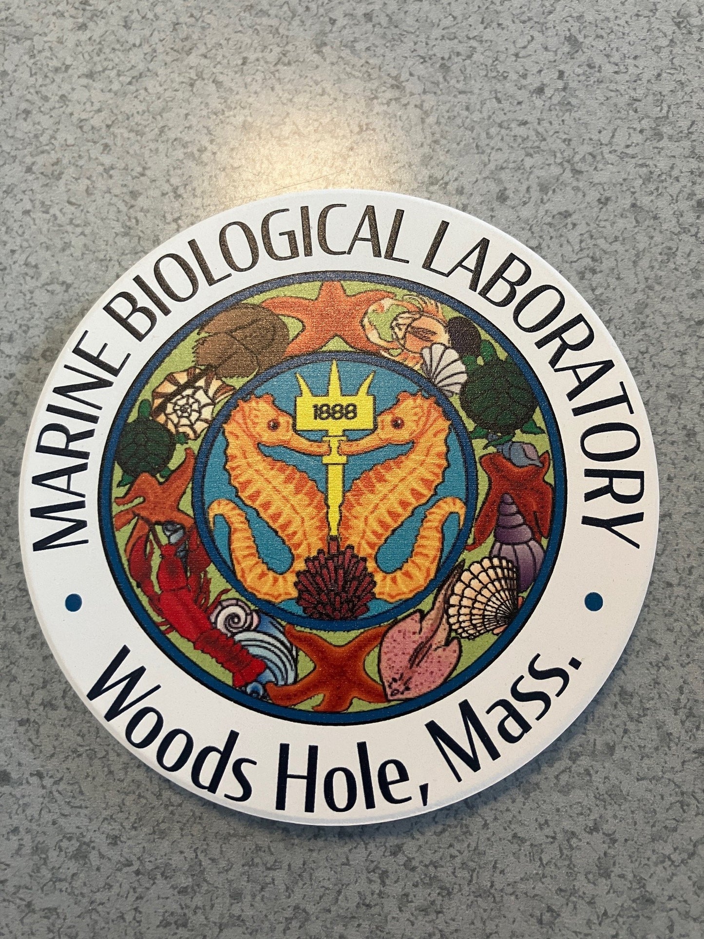 MBL Coaster