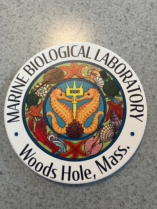MBL Coaster