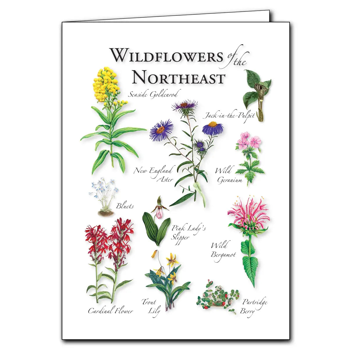 New England Gift Card