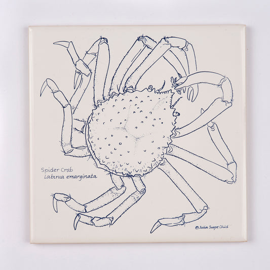 Spider Crab Trivet