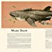 Oceanarium: Welcome to the Museum Book