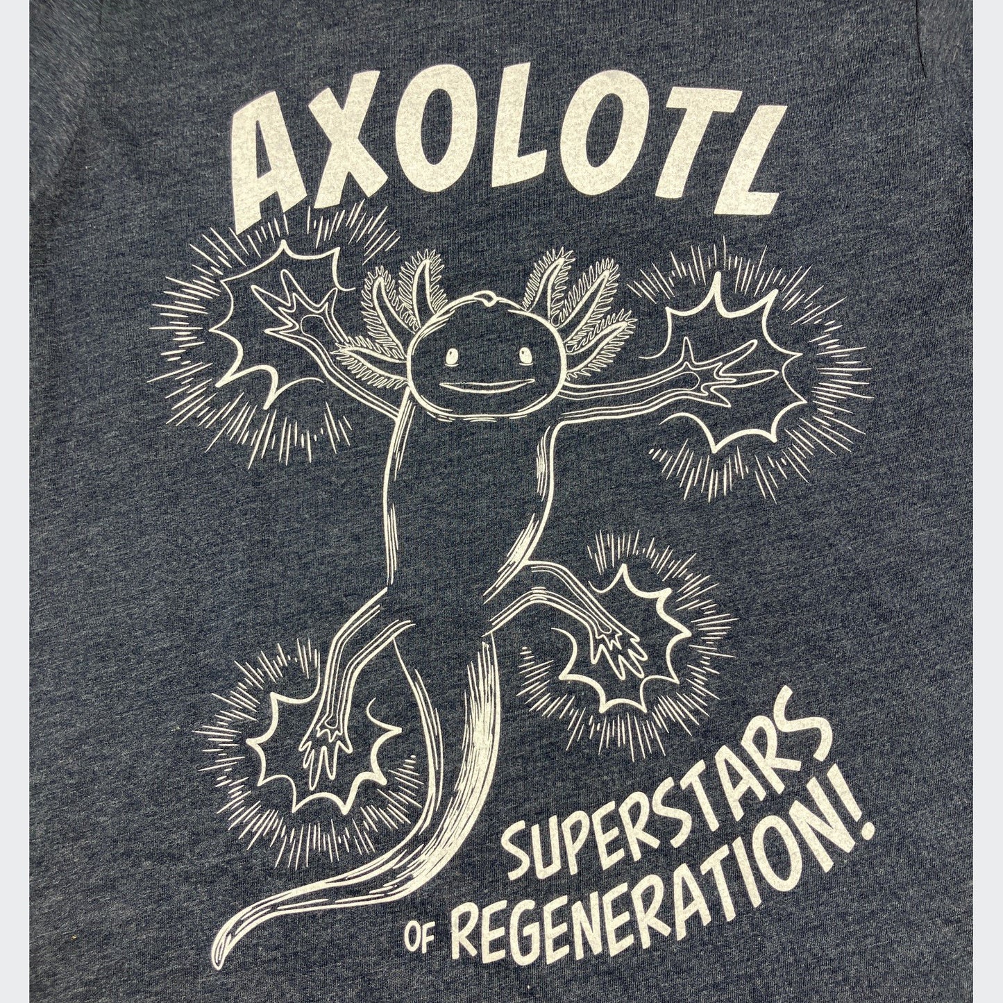 Axolotl Adult T-shirt