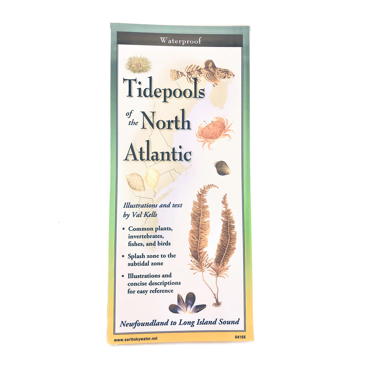 New England Coast Guide