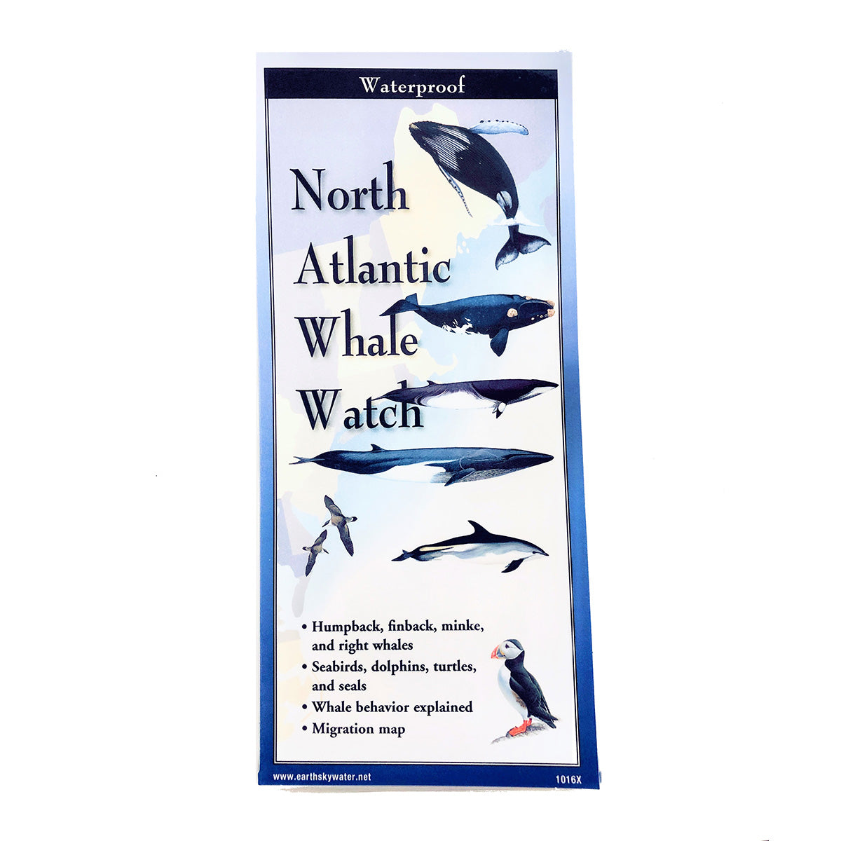 New England Coast Guide