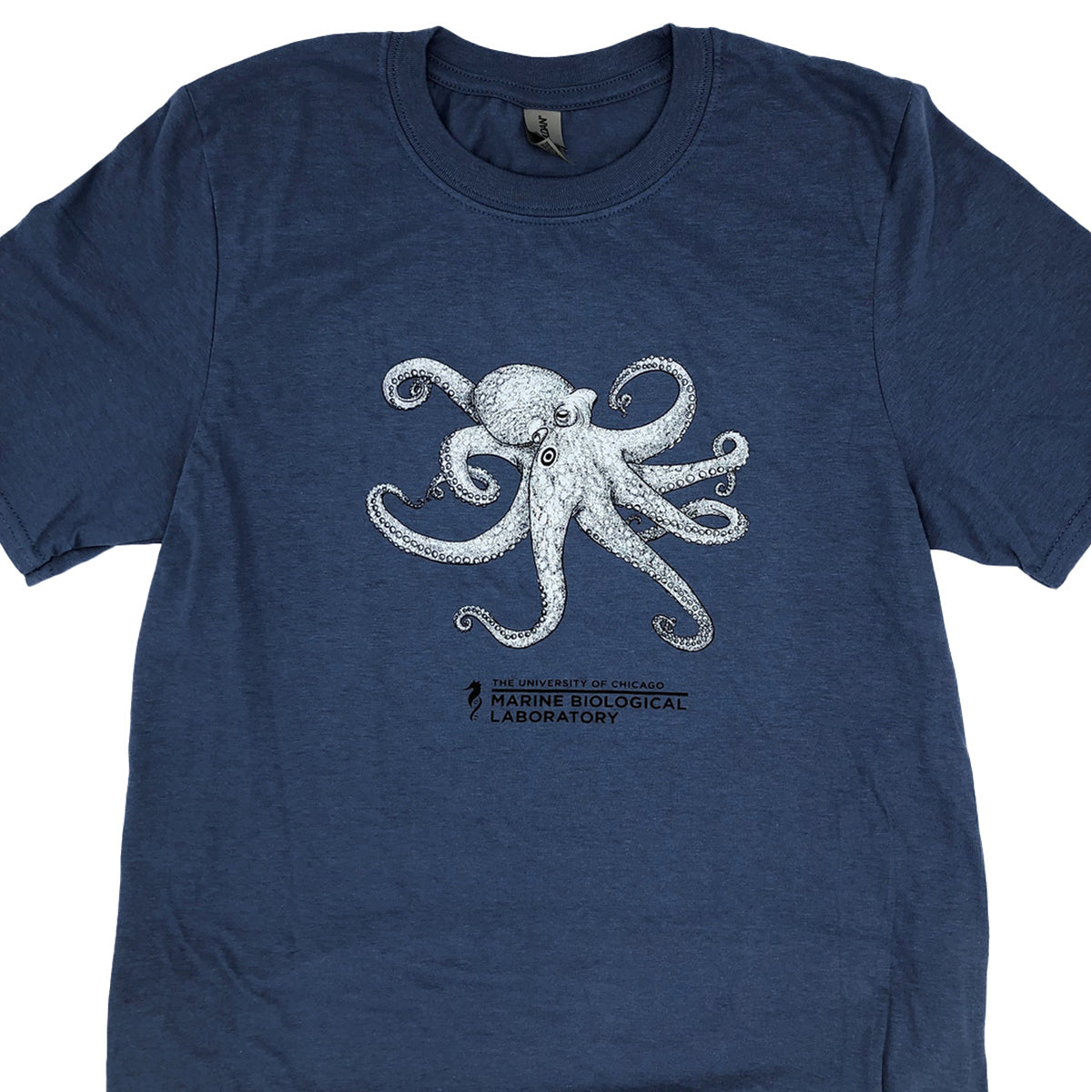 Octopus T-shirt – Marine Biological Laboratory Gift Shop