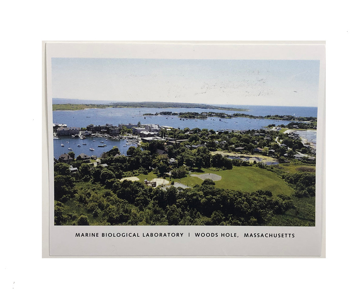 MBL Postcard