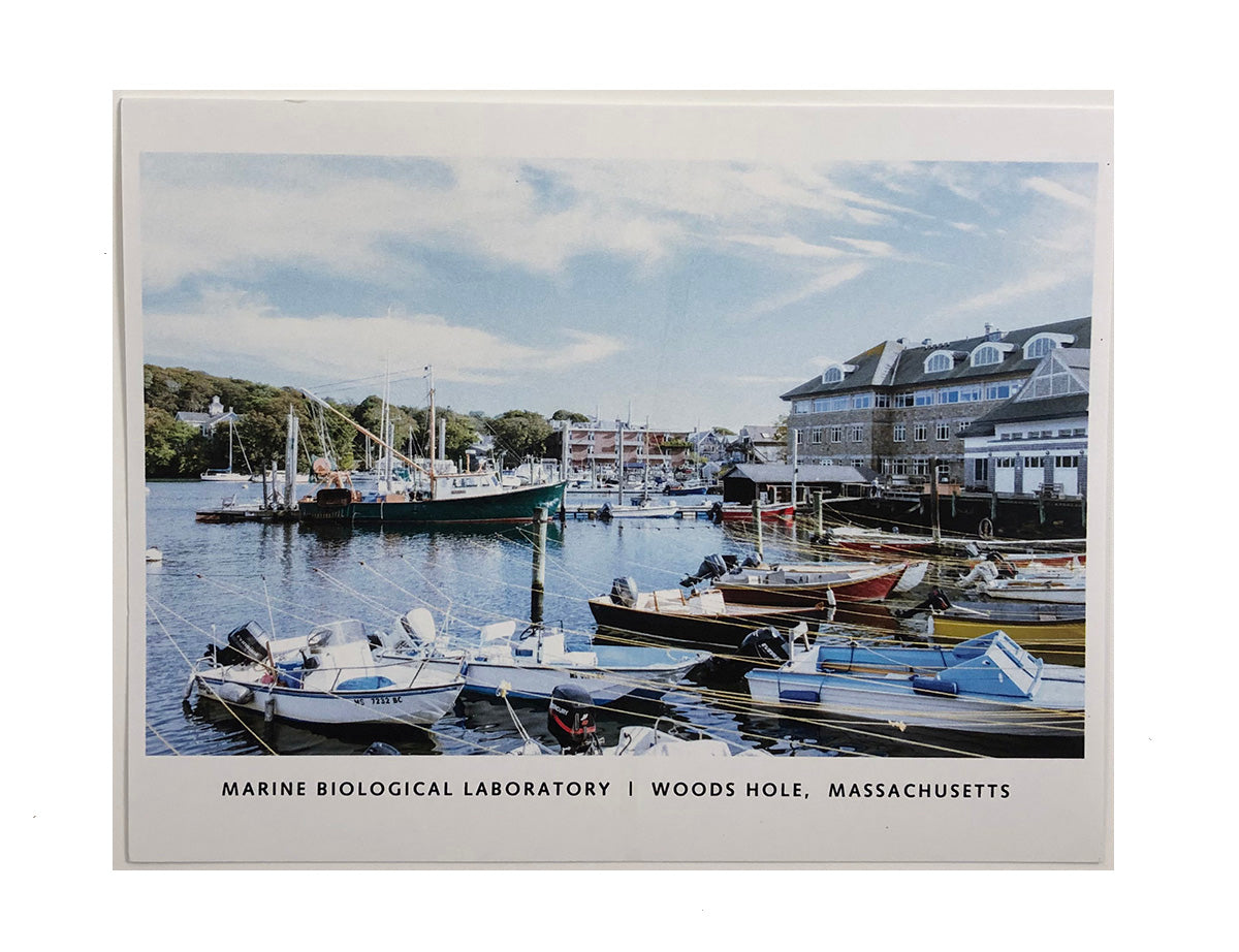 MBL Postcard
