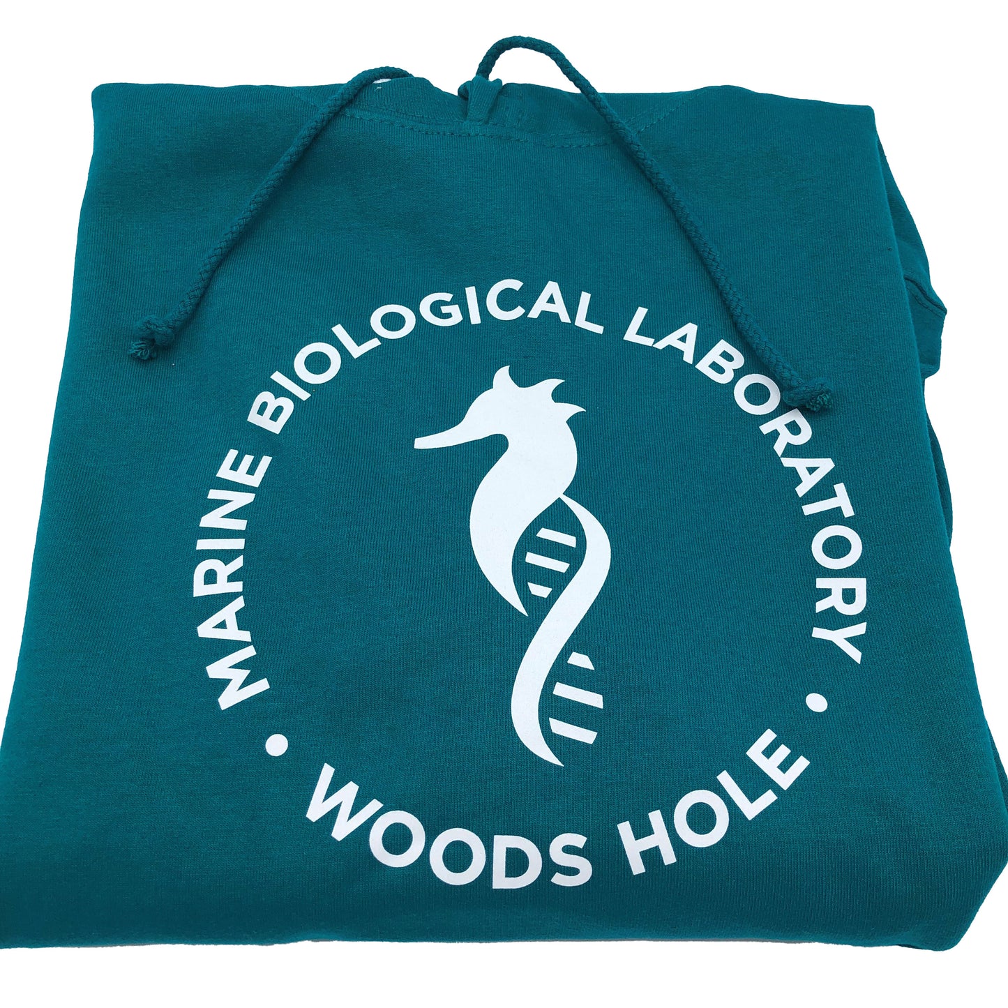 Seahorse Logo Hoodie