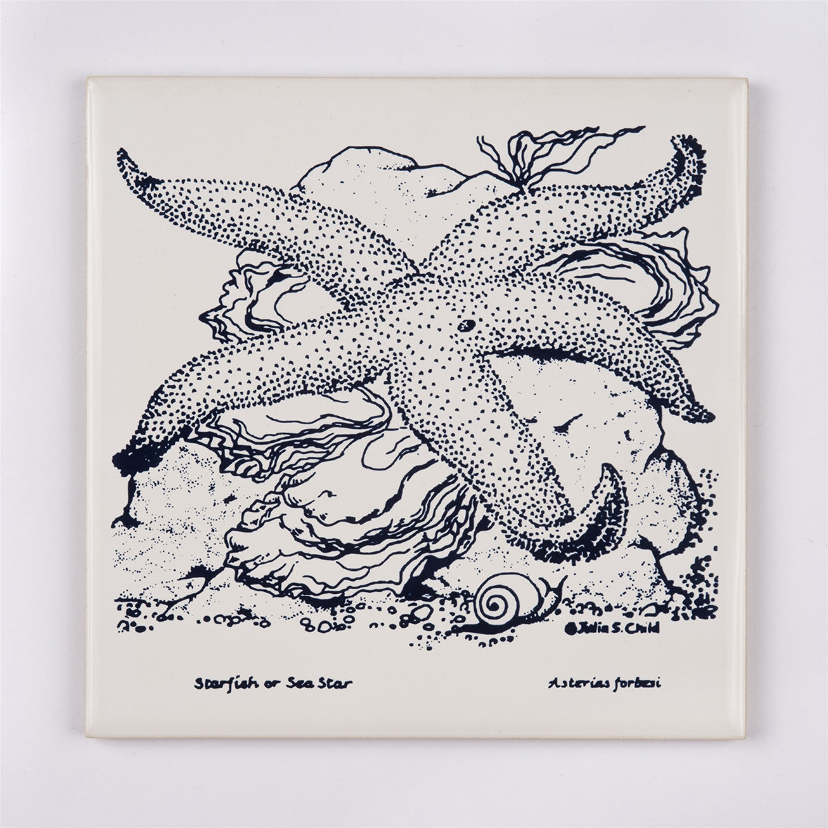 Starfish Coaster