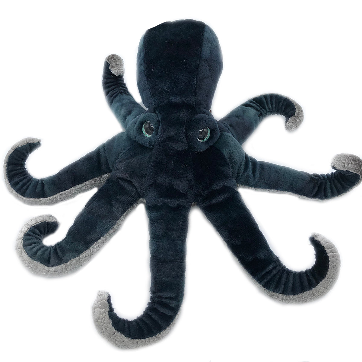 Winky Octopus