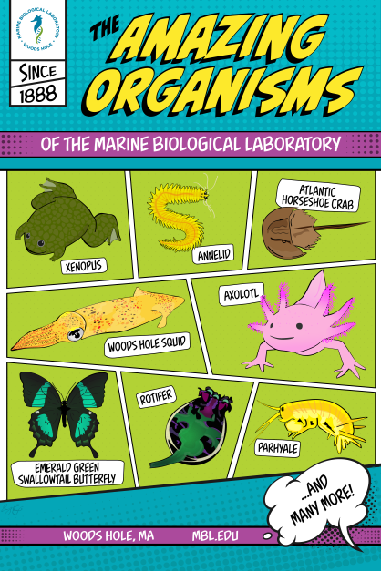 Basic Science Poster