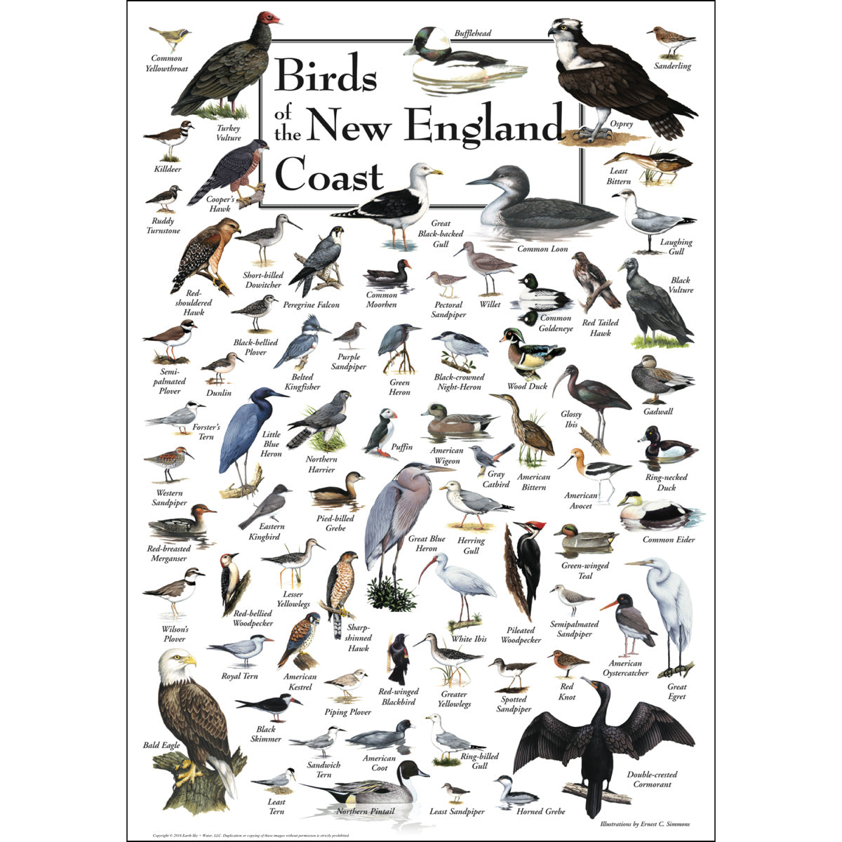 New England Poster
