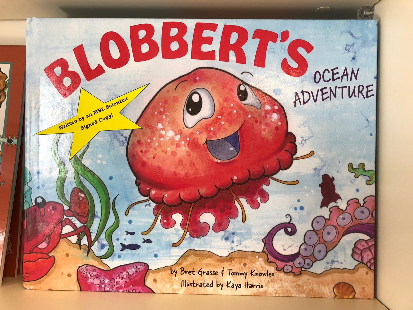 Blobbert's Ocean Adventure