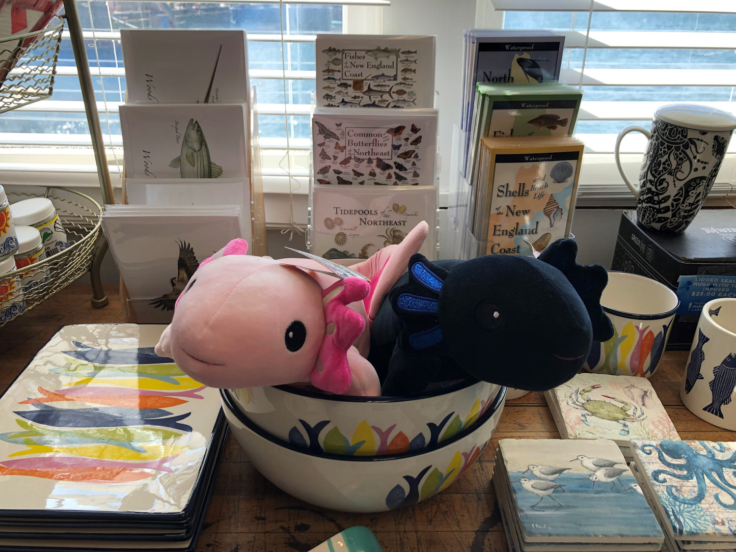 Axolotl Snuggly
