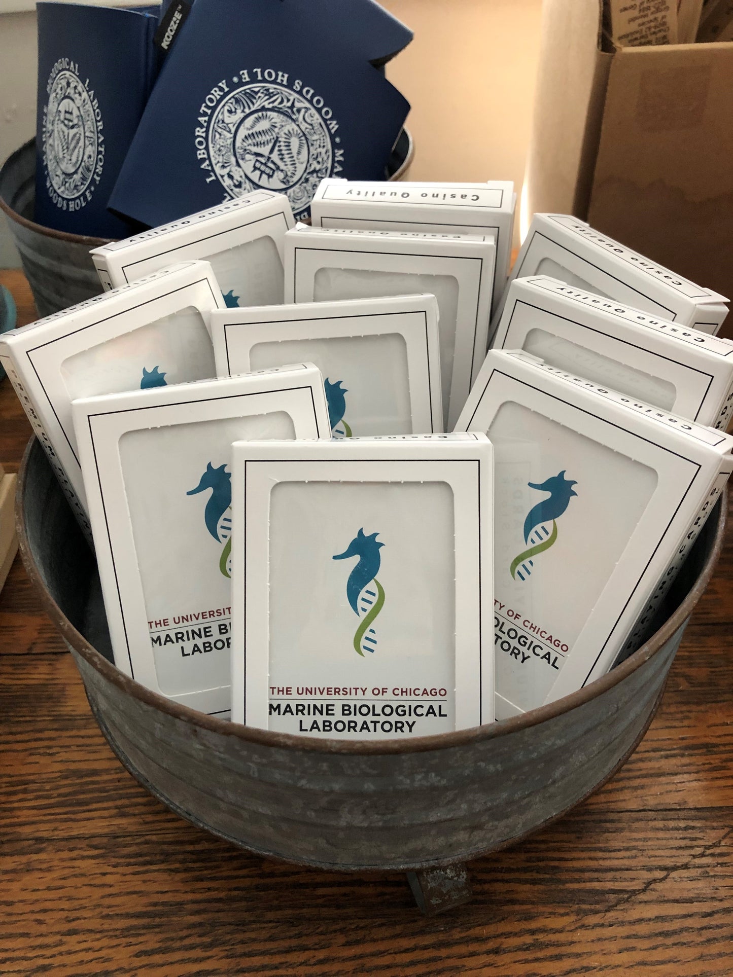MBL Seahorse Logo Playing Cards