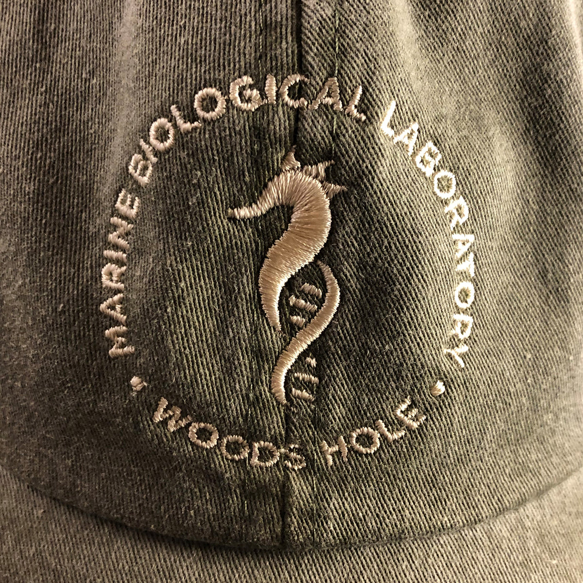 Seahorse Logo Cap