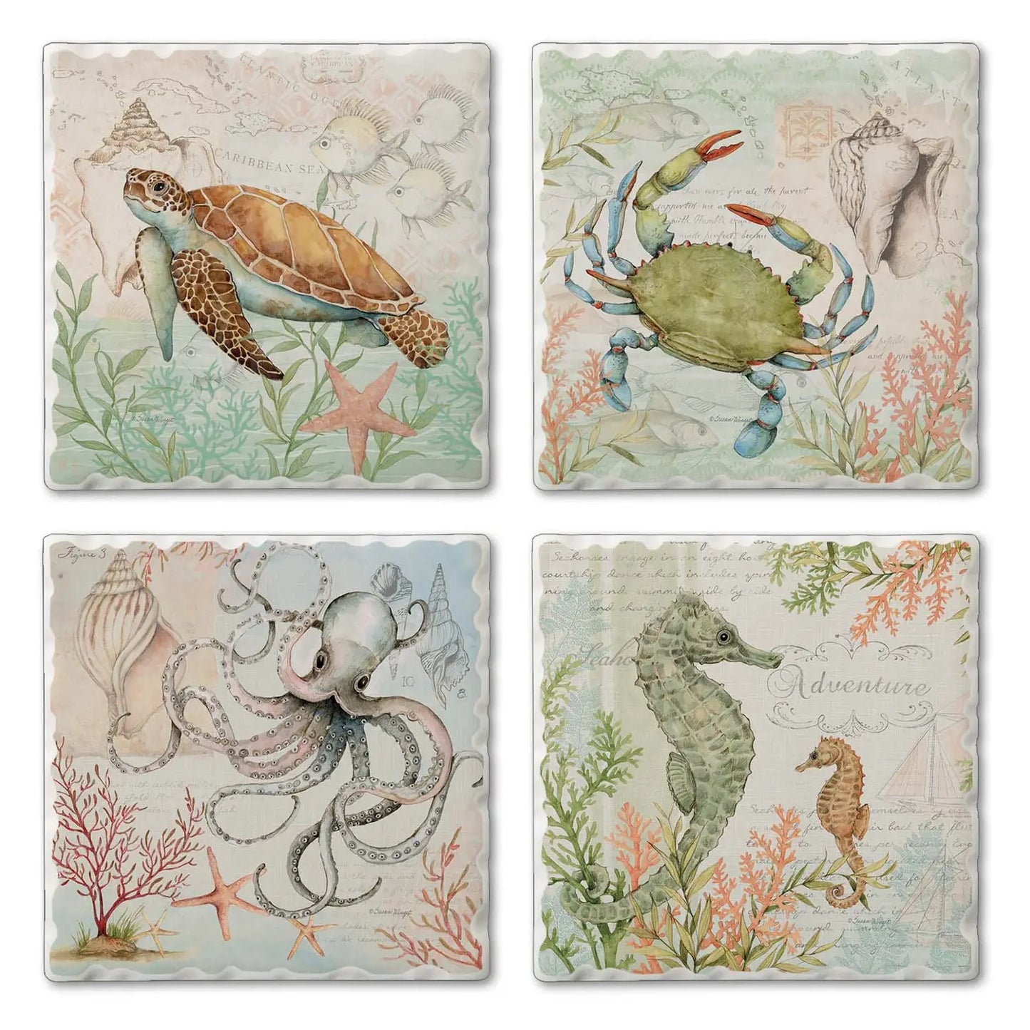 Assorted Sea life coasters