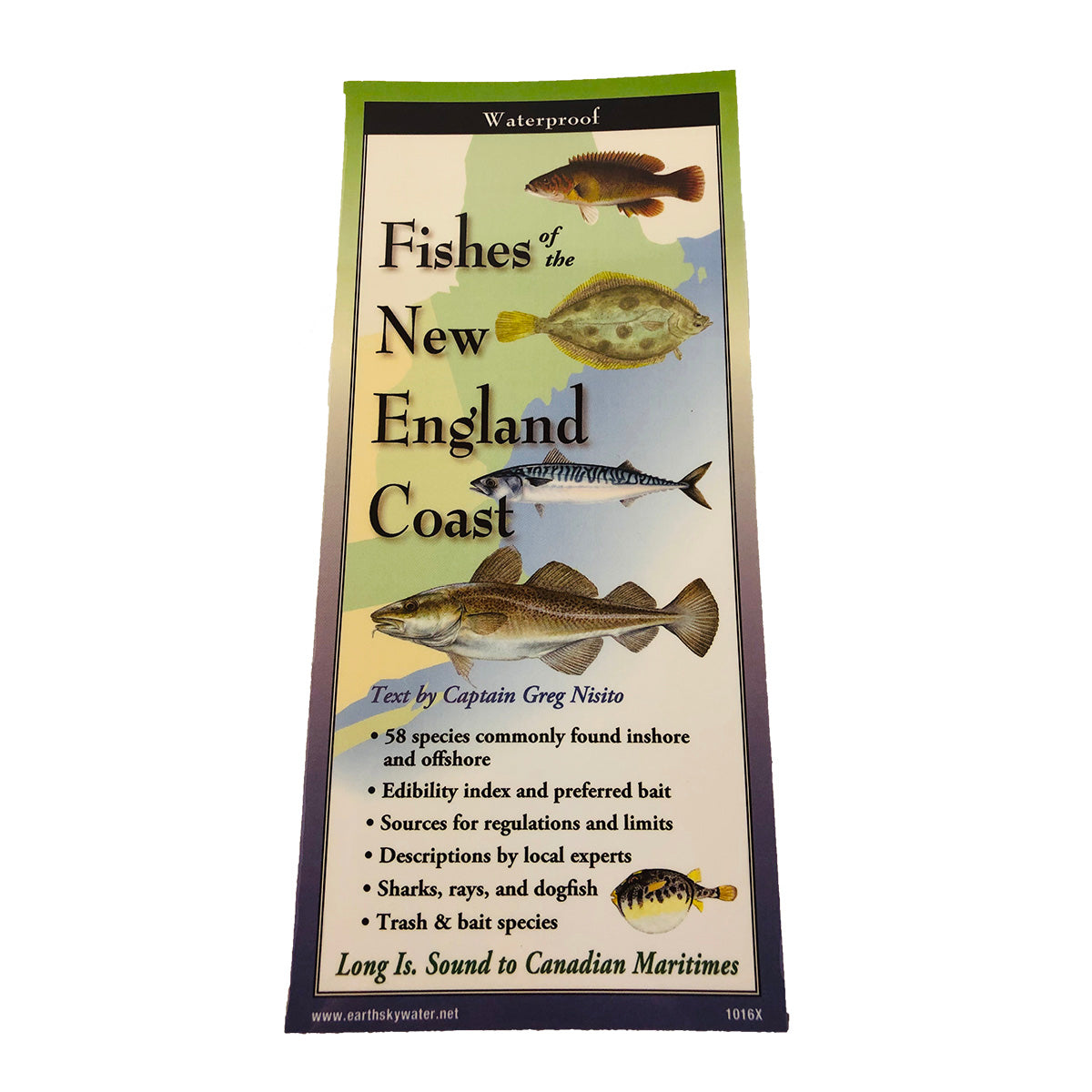 New England Coast Guide