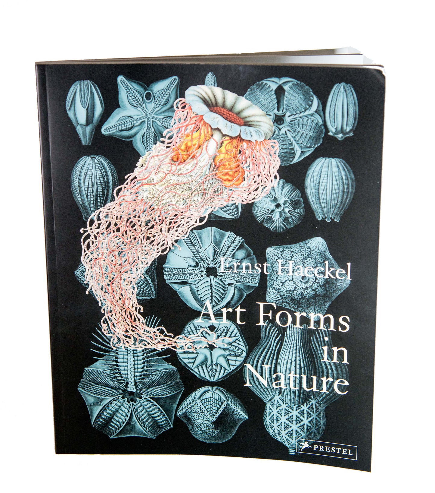 Art Forms in Nature Book