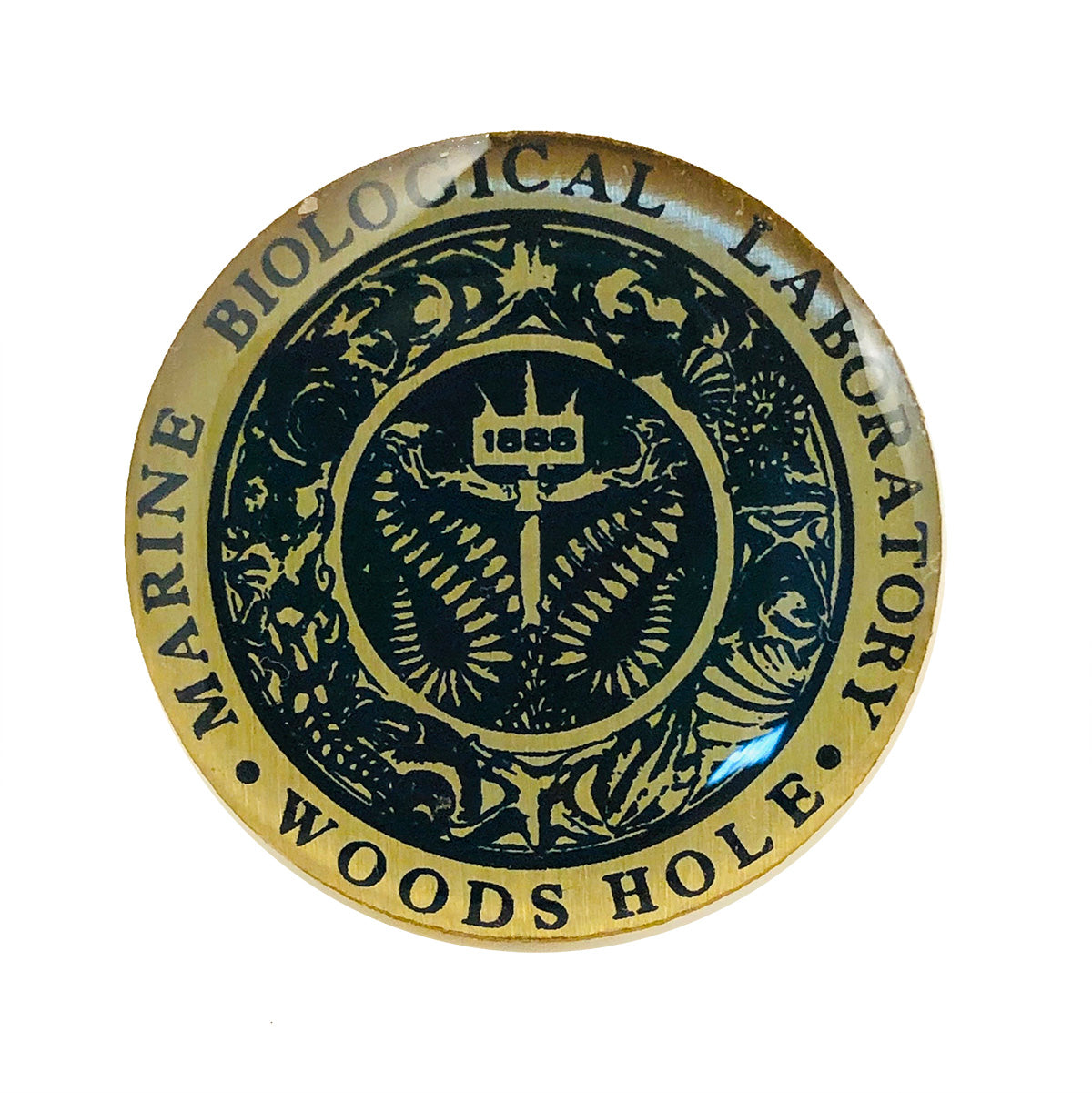 MBL Lapel Pin