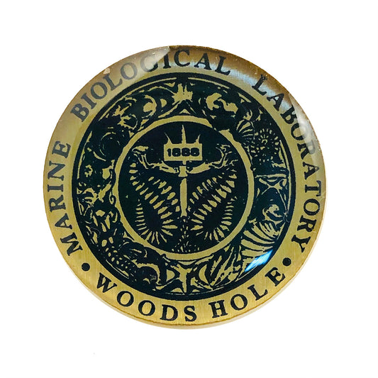 MBL Lapel Pin