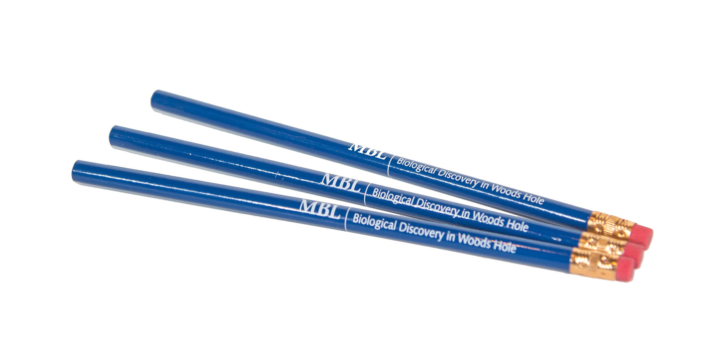 MBL Pencil