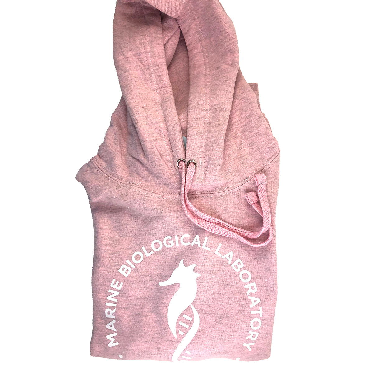 Seahorse Logo Hoodie