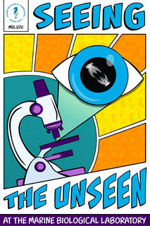 Seeing the Unseen Sticker