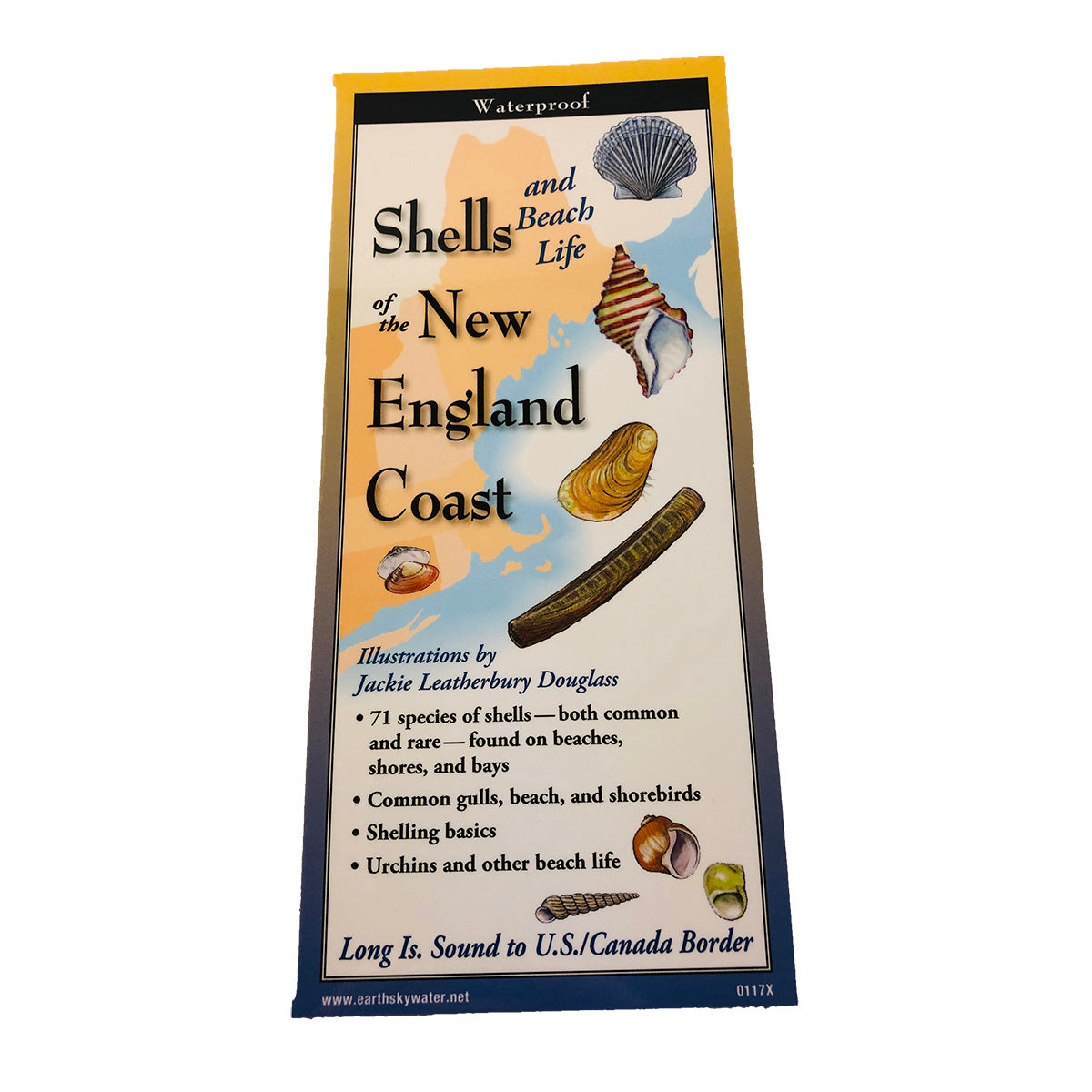 New England Coast Guide