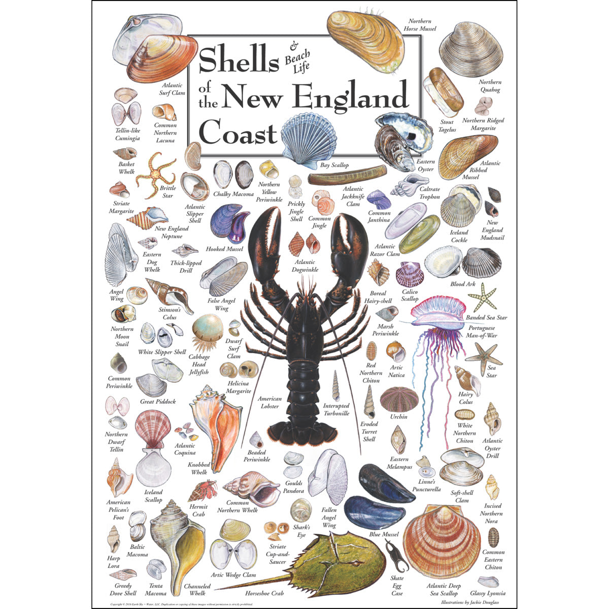 New England Poster
