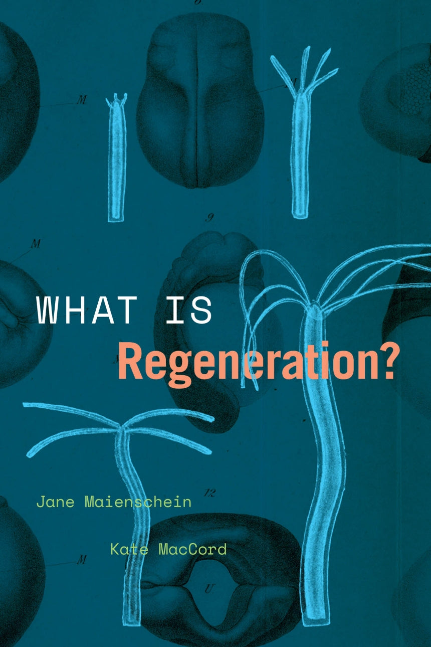 What is Regeneration? by Jane Maienschein and Kate MacCord