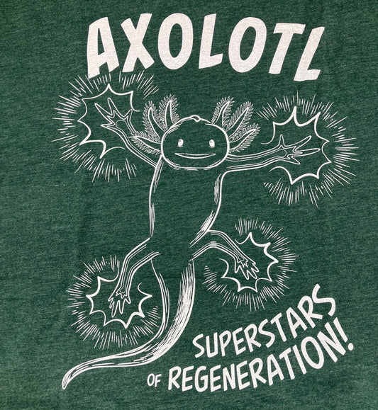 Axolotl Adult Short Sleeve T-shirt