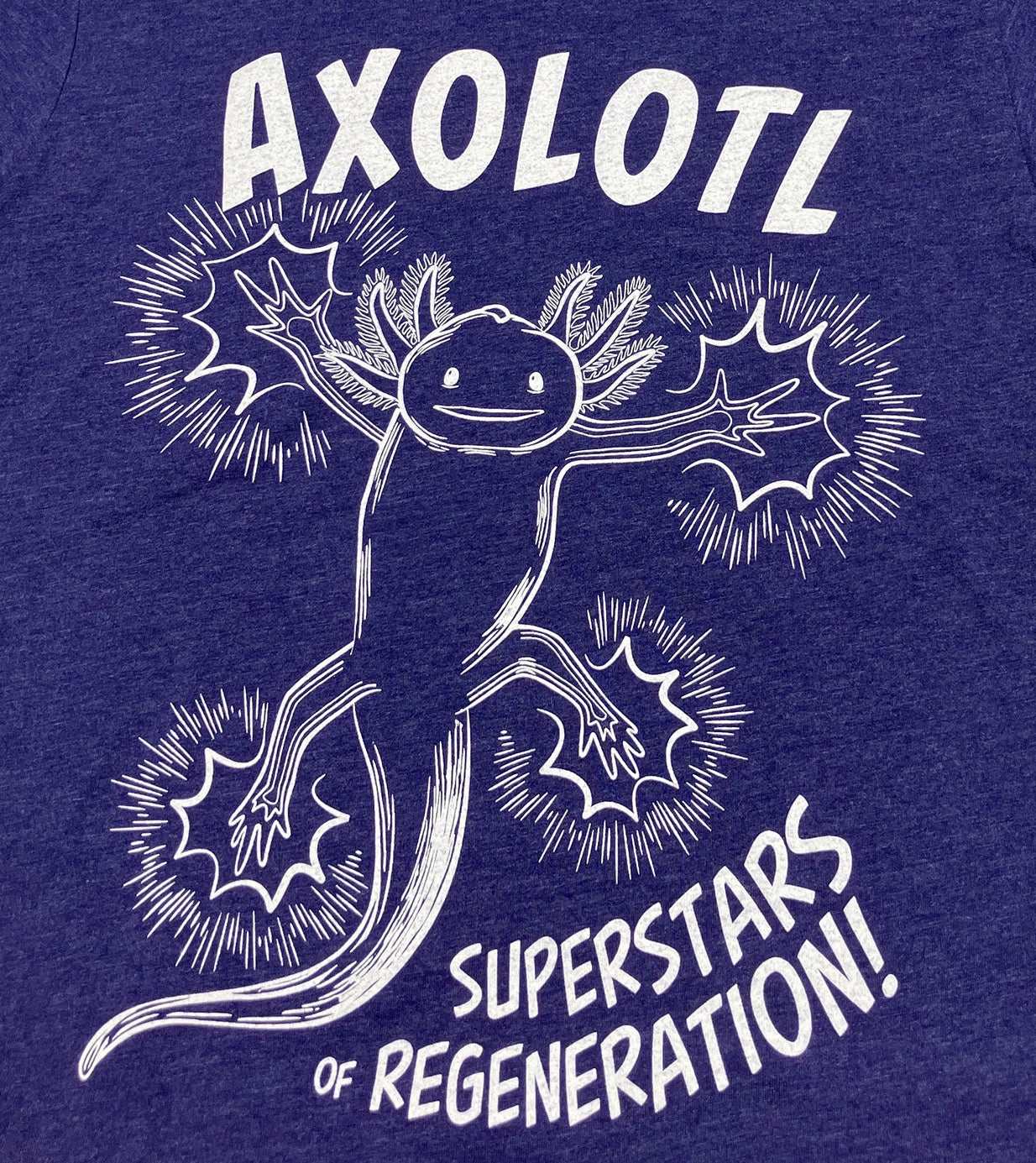 Axolotl Adult T-shirt