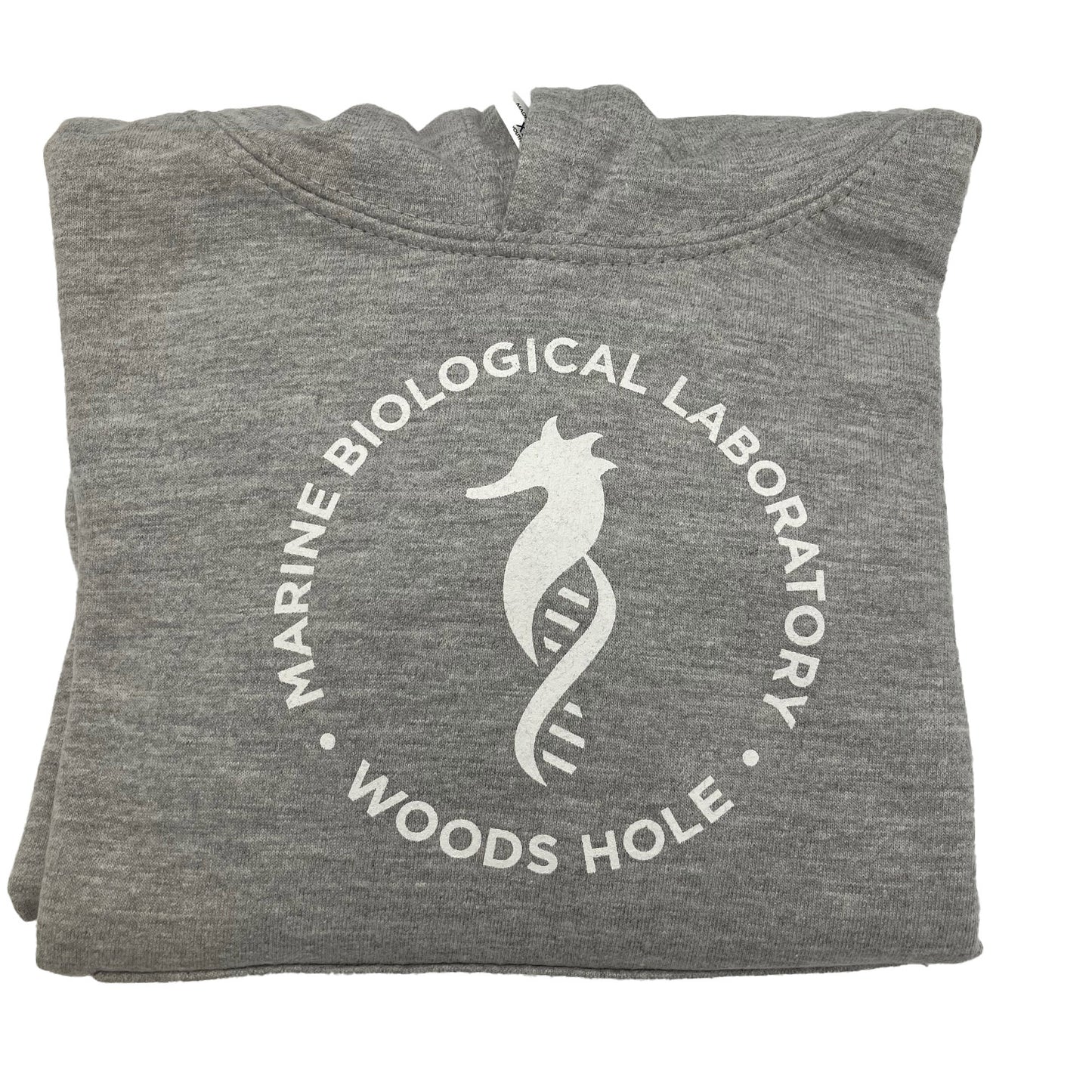 Youth Surf Hoodie with Seahorse Logo