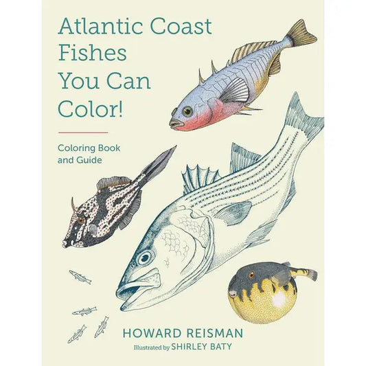 Atlantic Coast Fishes You Can Color