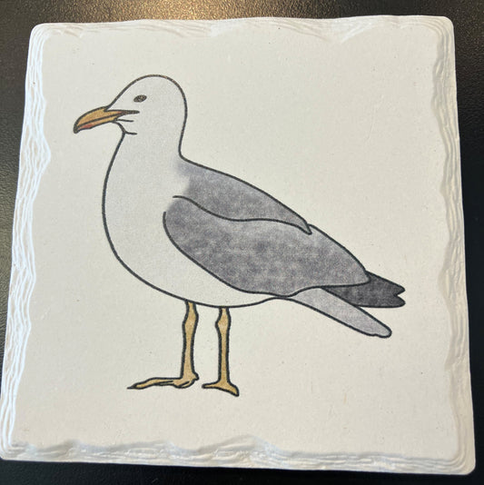 Ceramic Doodle Coasters