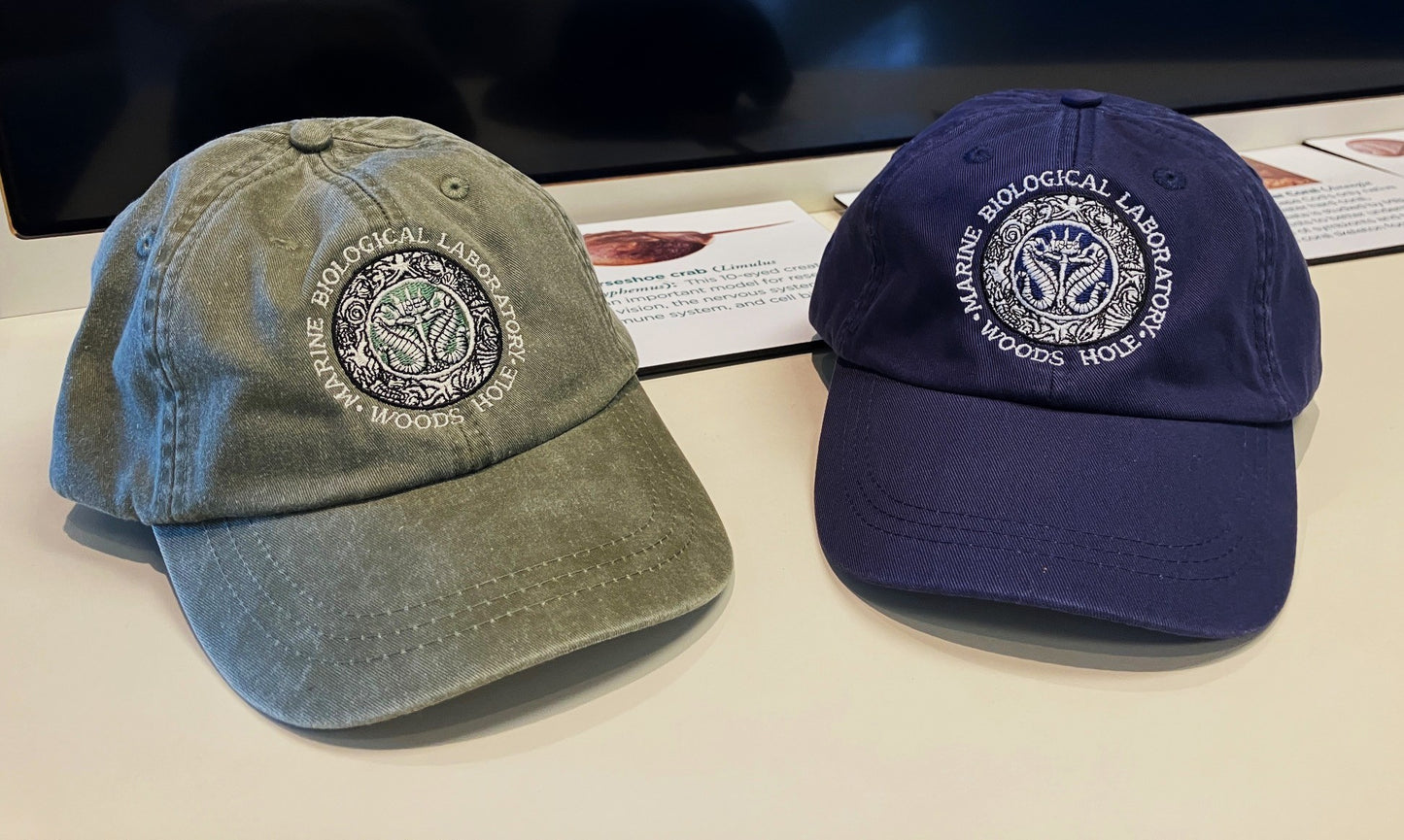 Legacy Seal Cap