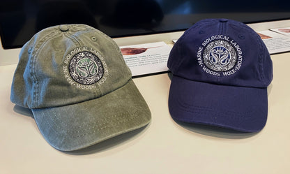 Legacy Seal Cap