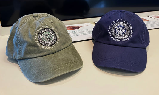 Legacy Seal Cap