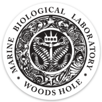 MBL Legacy Seal Sticker