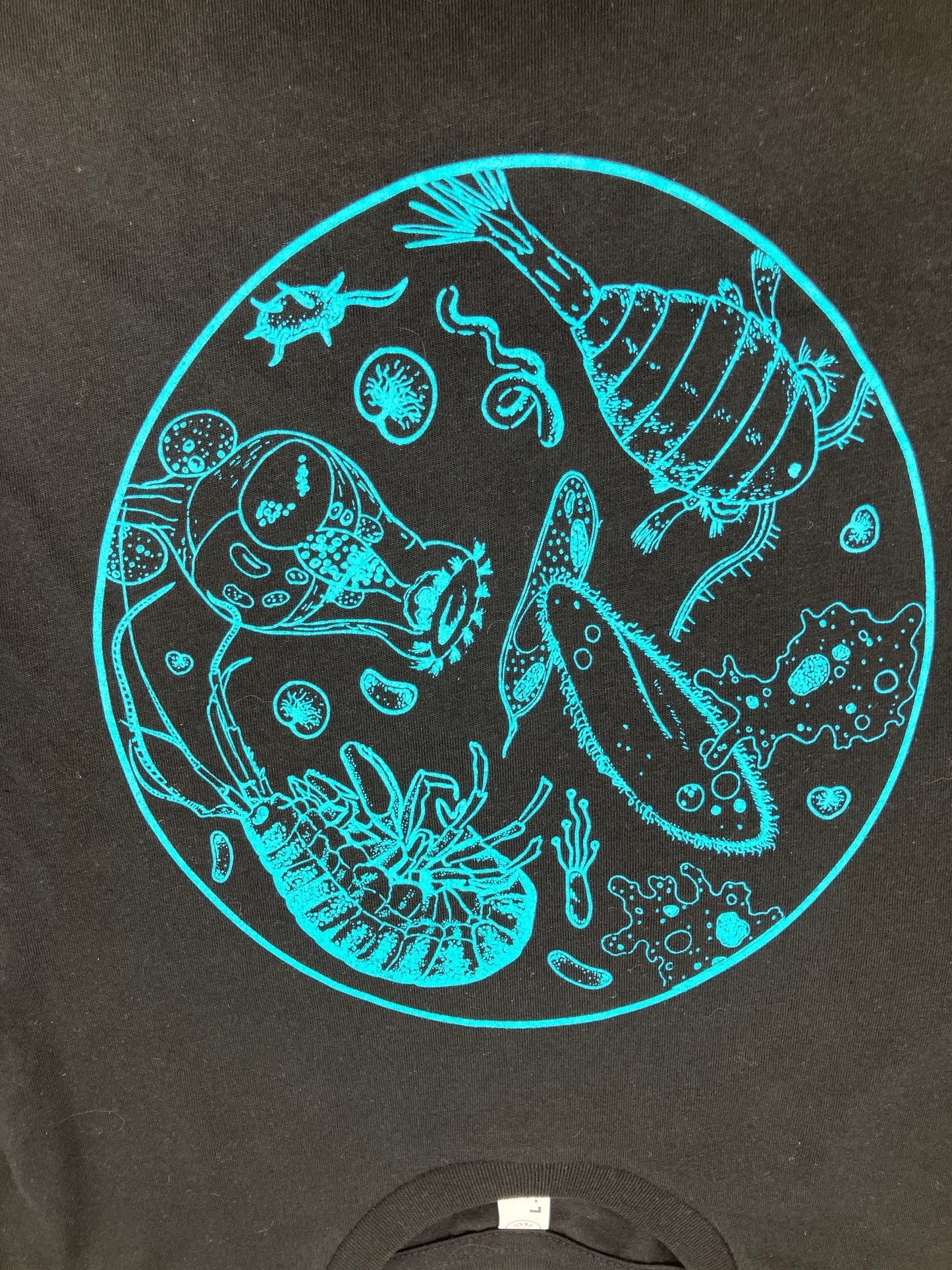 Petri Dish Tee